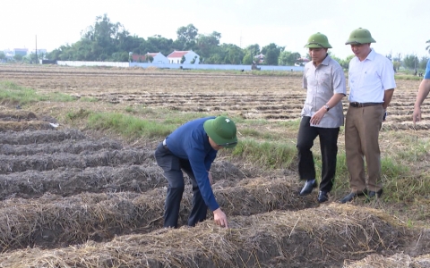 Kiểm tra tình hình sản xuất nông nghiệp tại huyện Kiến Xương