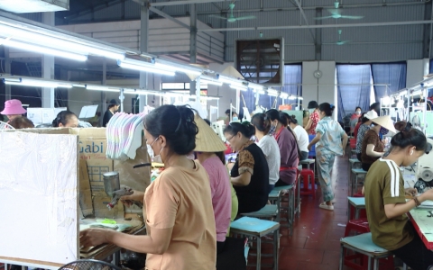 Thái Thụy phấn đấu tạo việc làm mới cho 4.700 lao động