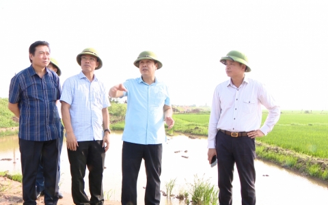 Bí thư Tỉnh ủy Thái Bình thăm một số mô hình sản xuất nông nghiệp tại huyện Kiến Xương