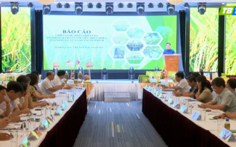  Hội nghị Chuyên đề phát triển sản xuất lúa gạo tỉnh Thái Bình