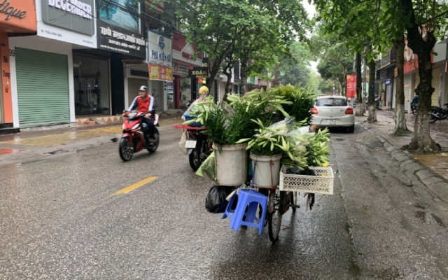 Hoa tháng Tư