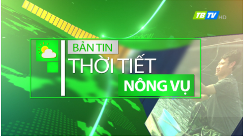 DỰ BÁO THỜI TIẾT NÔNG VỤ THÁI BÌNH 16-5-2024