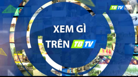 Xem g&igrave; tr&ecirc;n TBTV 1-7-2021