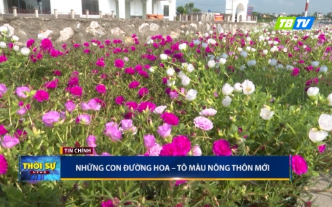 Thời sự chủ nhật 15-9-2019