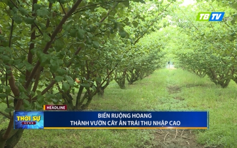 Thời sự thứ năm 19-9-2019