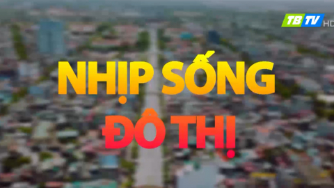Nhịp sống đô thị S7