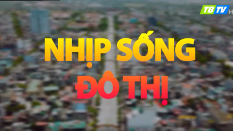 Nhíp sống đô thị - Số 17