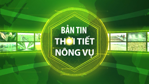 Thời tiết nông vụ 04-9-2023