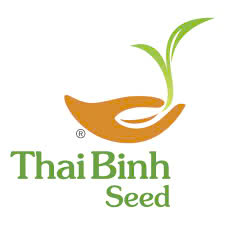 Thai Binh Seed