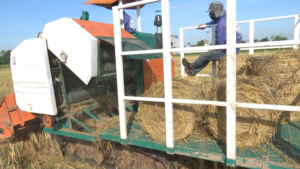 Máy cuốn rơm – Giải pháp cơ giới hóa sau thu hoạch lúa